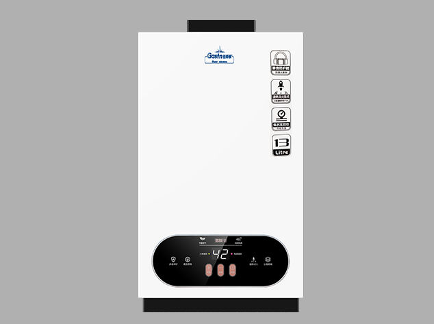 Gas water heater - T